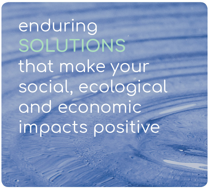 enduring SOLUTIONS that make your social, ecological and economic impacts positive