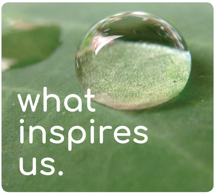 LEED - what inspires us